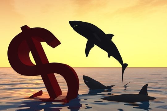 karharies sharks - dollar